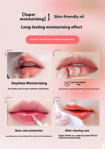 Sleeping Air Cushion Lip Balm Exfoliating Lip Lines