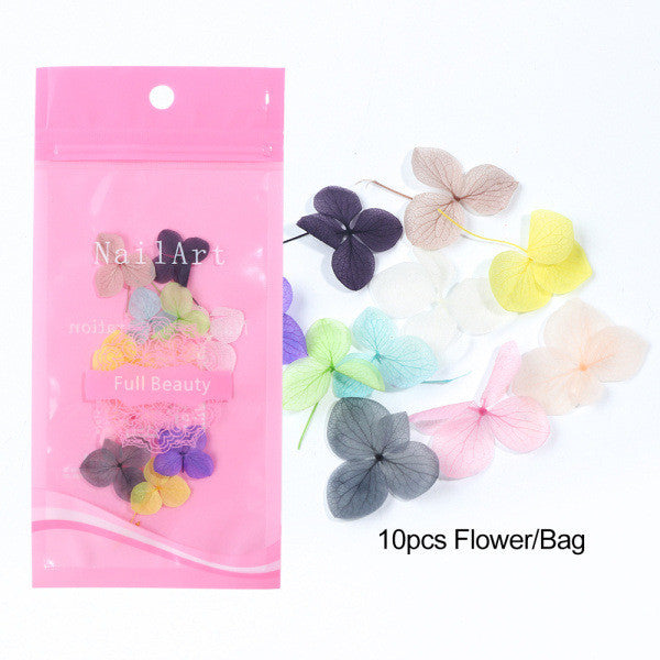 Fleurs Séchées 3D Décoration Ongles Outils Nail Art DIY - BMYANY