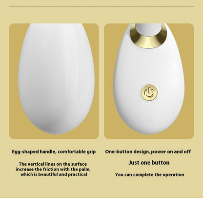 Instrument de massage électrique pour le visage, importé et domestique